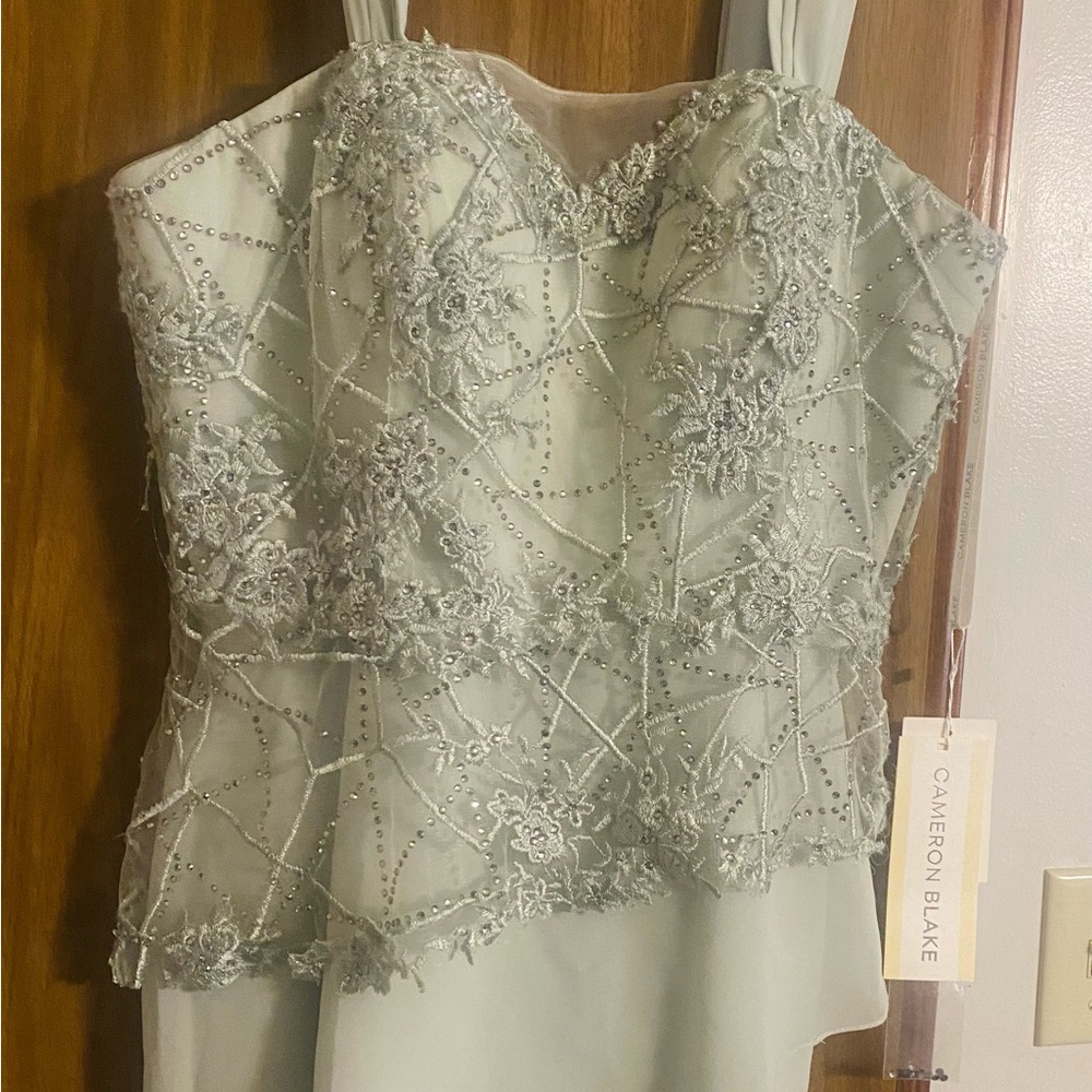 Cameron Blake Elegant Dress
